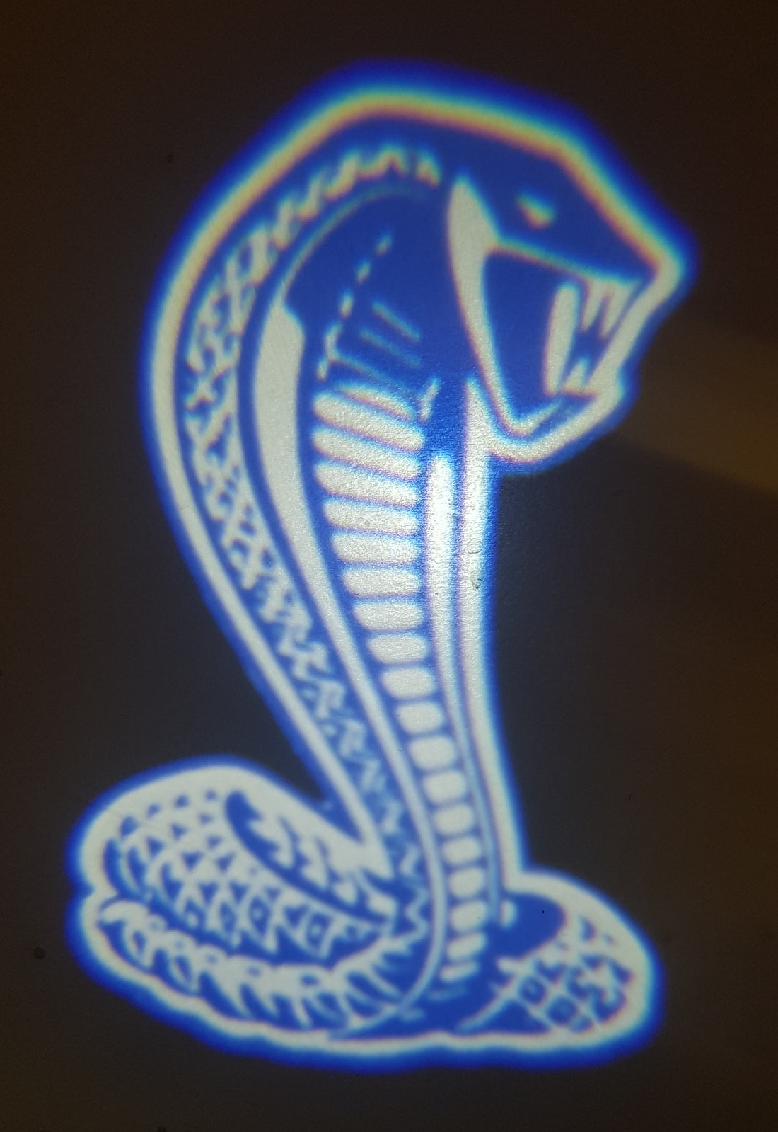 Custom LED Projector Door Shadow Lights - Dan's Custom Car Lights 
